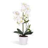 Características: las flores de phalaenopsis blancas están hechas de un material de tela de seda pegado que hace que las flores de orquídea sean más vívidas y reales.