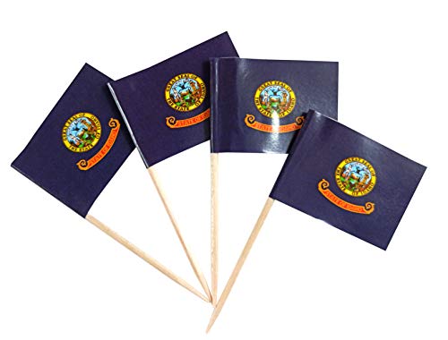 JBCD Idaho Toothpick Flag Mini Small Idaho Cupcake Topper Flags,
