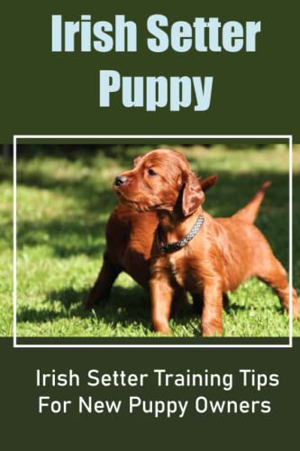 Irish Setter Puppy: Irish Setter Training Tips For New Puppy Owne...