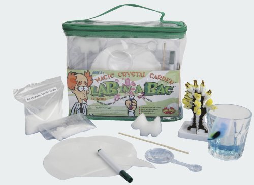 Be Amazing Lab-in-a-Bag Magic Crystal Garden by Be Amazing! Toys