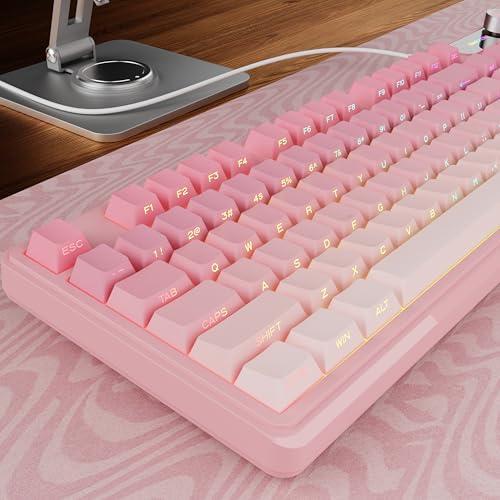 EWEADN V102 �L���L�[�{�[�h 98�L�[ �N���[�~�[�Q�[�~���O�L�[�{�[�h �i���o�[�p�b�h�t�� �f�B�X�v���C���&���f�B�A�m�u RGB �É� �L�� �L���[�g �R���s���[�^�[�L�[�{�[�h �m�[�g�p�\�R�� PC�Q�[�}�[�p - �O���f�[�V�����s���N