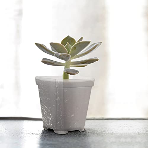 Pots de fleurs carrés KOOMEDA pour réussir la transplantation sans casse - 7
