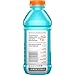 Gatorlyte Zero Sugar Glacier Freeze 20oz