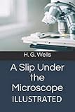 under slip dress white  A Slip Under the Microscope Illustrated: Illustrated (English Edition)