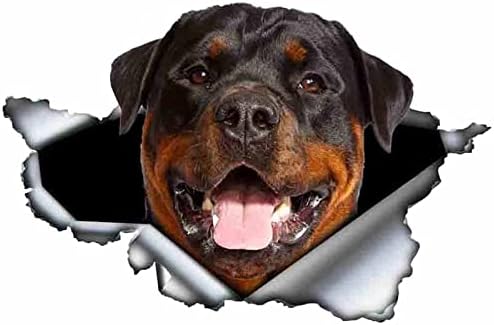 rottweiler car decal