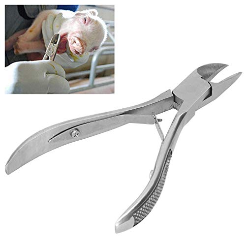 Teror Tooth Pliers,Piglet Teeth Cutter Pliers Stainless Steel Elbow Pig Tooth Nipper Livestock Equipment #TOP3