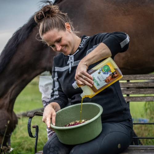Stiefel Leinöl für Pferde, 100% naturreines Öl, kaltgepresst, kann den Fellwechsel, die Verdauuung & Haut unterstützen, flüssig mit Dosierflasche, 1l