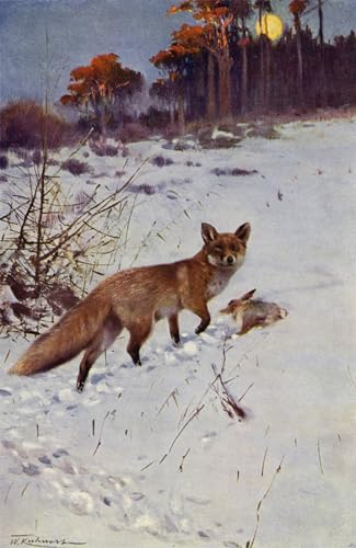 Póster de paisajes animales de Wilhelm Kuhnert impresión en lienzo 60x90cm para salón