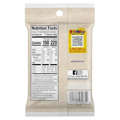 Funables Fruit Snacks, Mixed Berry Snacks, 2.5 Ounce Pouches (Pack of 48)