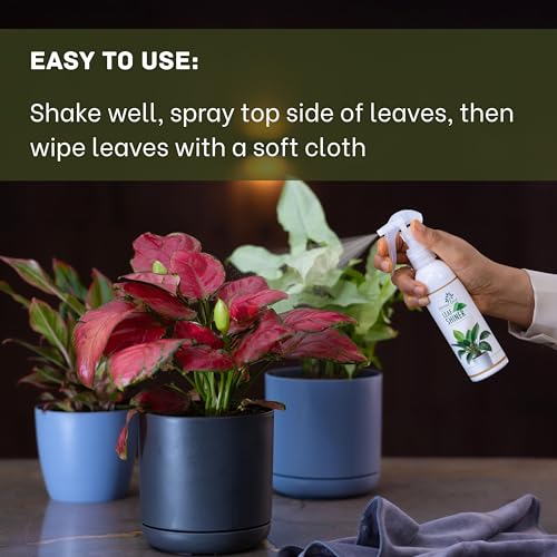 Image of DIVINE TREE Leaf Shiner Spray for Indoor & Outdoor Plants 500ml | Natural Leaf Shine & Cleaner | Ready-to-Use Non-Toxic, Eco-Friendly Foliar Formula for Glossy Green Leaves & Healthy Plant Care