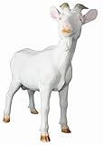 Es hat keine Lust, Fußball, obwohl es im Stadion sicher auch eine gute Figur abgeben würde. Es sich kümmert sich um seine Mädchen auf der Weide.