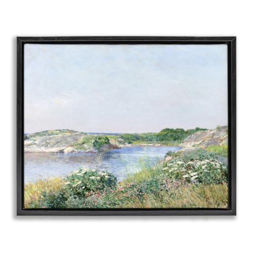 Stupell Industries Rocky Shore Flower Bushes Ocean Inlet Scene, Design by Lettered and Lined, 24 x 30, Black Floater Framed