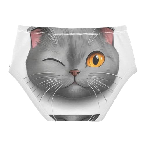 Cute Scottish Cat Grey White Girls Underwear Toddler 2t Cotton Girl Panties Cute Animal Kids Briefs Undies2