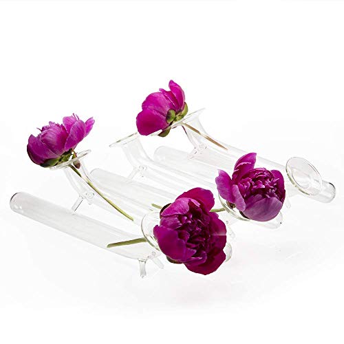 Chive - Set Of 6 Tube, Small Clear Glass Bud Vase For Short Flowers, Unique Flower Vase Sets For Home Decor, Weddings, Floral Arranging, Event, Place Settings #TOP27