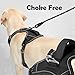 Funfox Dog Harness Medium Sized Dog, Vertical Handle Easy Control, No Pull Pet Vest Adjustable with 2 Leash Clips, Soft Material, Reflective Safe Night Walking for Small Medium Large Breed, Black, M