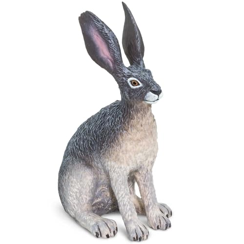Safari Ltd. American Desert Hare Figurine - Detailed 3