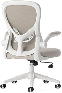 Hbada Ergonomic Desk Chair, Computer Office Chair with Flip-up Armrest&Lumbar Support, Adjustable Height, Grey