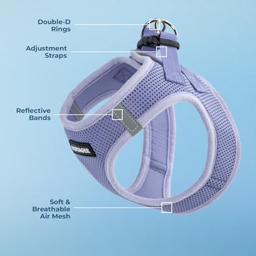 Image of Best Pet Supplies - All Weather Mesh /Plush, Reflective, No Pull Harness for Small, Medium Dogs, Cats - Secure with Hook & Loop Fastener, Buckle, Double D-Rings - Lavender, L