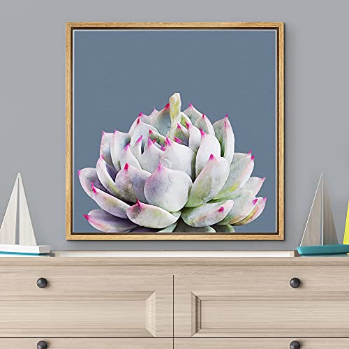 Color-Banner Framed Canvas Print Wall Art Blooming Green Succulent & Pink Spikes Floral Plants Mixed Media Realism Southwest Closeup Colorful Cool For Living Room, Bedroom, Office - 16"X16" Natural #TOP1