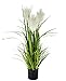 Produktbild Pampas Gras im Topf Feder-Gras Ufergras Seidenblumen Grasbusch Dekogras Gras Kunstpflanzen Kunstgras künstliche Pflanzen Solitärgras Ziergras Dekopflanze Pampasgras Kunstgras