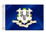 Connecticut State Boat Nautische Flagge, 30,5 x 45,7 cm, doppelseitig, 3-lagig, CT-Marine-Flagge, Nylon, kleine Yachtsegel, Ponton, Boot, ATV, Fahrrad, LKW, Jeep, Motorradflagge, Messingösen,