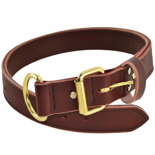 Ray Allen Mfg Signature K9 Heavy Leather Agitation Collar