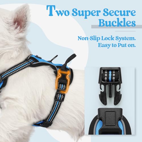 Image of rabbitgoo Dog Harness No Pull with 2 Leash Clips, Adjustable Soft Padded, Reflective Oxford No Choke Pet Vest with Easy Control Handle for Puppy, Blue, XS