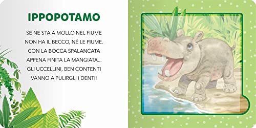 Animali Selvaggi. Ediz. Illustrata - 4