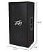 Peavey PV 112 2-Way Speaker
