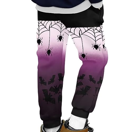 Hawapod Kids Sweatpants Elastic Waist Flap Halloween Baby Clothes Regular Fit Kids Pants Boys Size 10-123