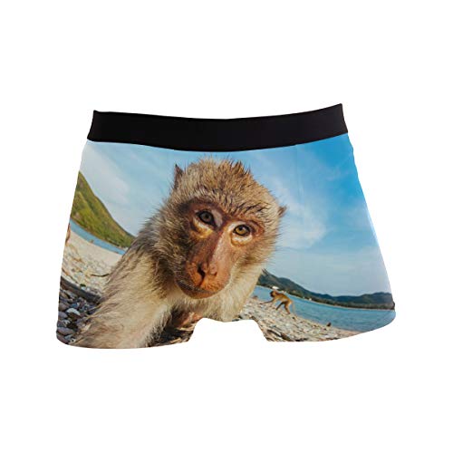 ZZKKO Giraffe Cat Mens Boxer Briefs Underwear Breathable Stretch Boxer Trunk with Pouch S-XXL