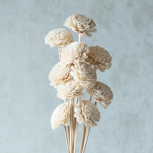 Image of White Sola Belly 8 cm On Stem (10 Sticks) | Natural Dried Flower | Eco-Friendly Flowers for Home, Office, Bedroom, Table Decoration and Craft Items Corner (Without Vase Pot)