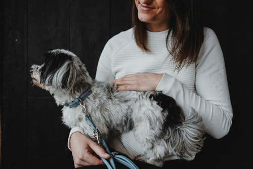 Hunter Hundehalsband SOHO MINI, Farbe: hellblau, Rindsleder, weich & geschmeidig, fellschonend, leicht, für kleine Hunde & Welpen, Made in Germany, Größe: 27