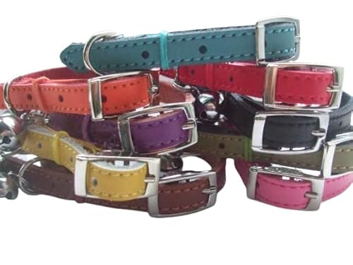 Collare in pelle per gatto/gattino rosa, blu