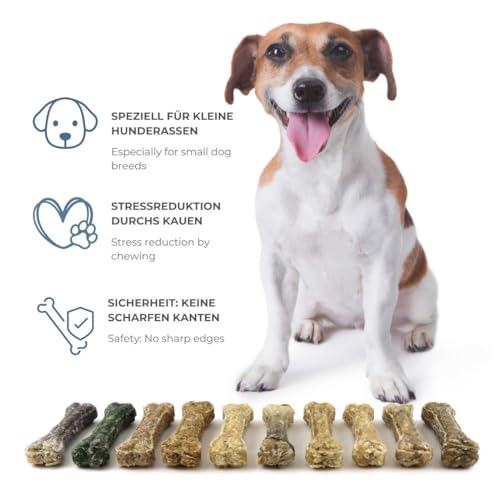 DOGBOSS 100% Natur Kauknochen speziell für kleine Hunderassen (2-10kg) in verschiedenen Geschmackssorten (5er Dental Salbei 10 cm)
