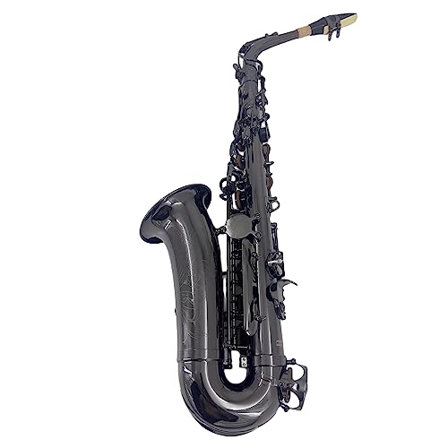 Aiollns JAS-802 Alto Saxophone E Flat Black Color Beginner/Performer