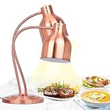 YJINGRUI Wärmelampe Küche 2×250W Infrarotlampe speisenwärmer Lampe, Doppelköpfige Gastro Wärmelampe mit 70cm flexiblen Schläuchen für Buffet, Restaurant und Catering, Küche