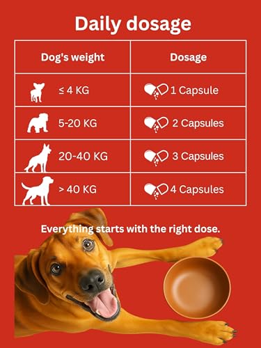 Dr. Flex Gelenktabletten Hund 110 hochdosierte Komplex-Kapseln mit Glucosamin Hund, Chondroitin, MSM, Kurkuma, Hyaluronsäure, Piperin für Knochen Gelenke Knorpel Senioren aktive Hunde