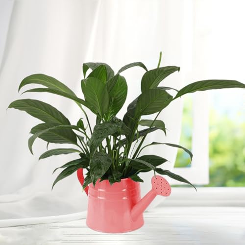Leefasy Watering Can Gardening Tool Accessories Vintage Design Sprinkling Can Plants Sprinkler for Outdoor Plants Lawn Garden Indoor, Pink