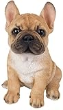 englische bulldogge kaufen nrw Frostsicher für den Innen- und Außenbereich geeignet.