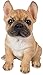 Vivid Arts Pet Pals Goldener Französischer Bulldoggen-Welpe