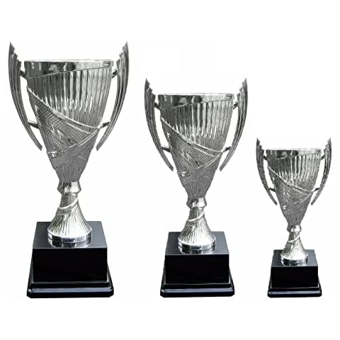 Personalised Silver Trophy Award for Any Sport Cover