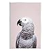Stupell Industries African Grey Parrot Portrait Wall Plaque Art Design by Sisi and Seb