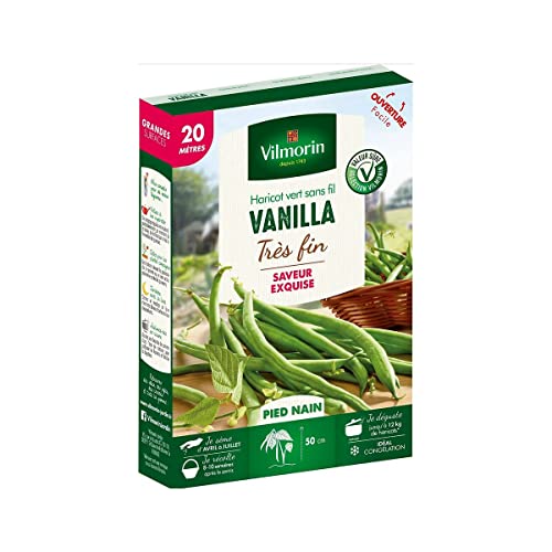 Vilmorin - Graines de Haricot vert sans fil VANILLA - 20 mètres