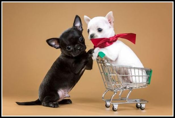 Amazon | チワワのかわいいペットの犬 フルラウンドドリルダイヤモンド