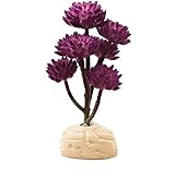 Qualitätsversprechen: Wir stehen hinter der Qualität unserer Produkte. Wenn Sie aus irgendeinem Grund mit Reptilienpflanzen nicht zufrieden sind, kontaktieren Sie uns bitte. Wir hoffen, dass Sie eine schöne Erfahrung haben können und es bringt viel Komfort in Ihr Leben