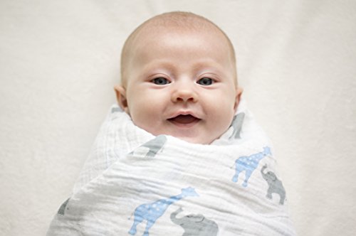 Image of SwaddleDesigns Marquisette Receiving Swaddle Blanket for Baby Boys & Girls, Soft Premium Cotton Muslin, Best Shower Gift, Blue Safari Fun, Parent Picks Award Winner