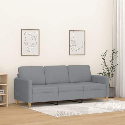 zylophax Sofá de 3 plazas, color gris claro, tela de 180 cm, moderno, estructura de metal resistente, acolchada, duradera, transpirable para momentos relajados