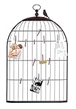 Deco 79 Unique Photo Holder as a Charming Bird Cage