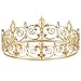 Coucoland Mens Vintage King Crown Medieval Royal Gold Tiara Crown Full Round Birthday King Crown Tiara for Prom Costume Party (Gold)